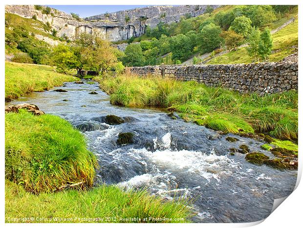 Valley Below Malham  Cove Print by Colin Williams Photography