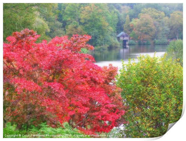 The Boathouse At Winkworth Arboretum Print by Colin Williams Photography