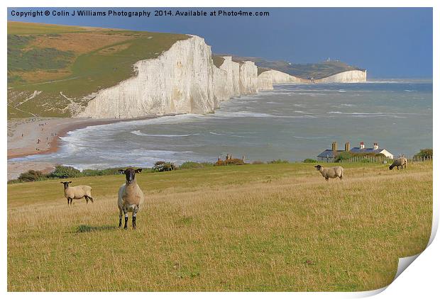  Sheep and the Seven Sisters Print by Colin Williams Photography