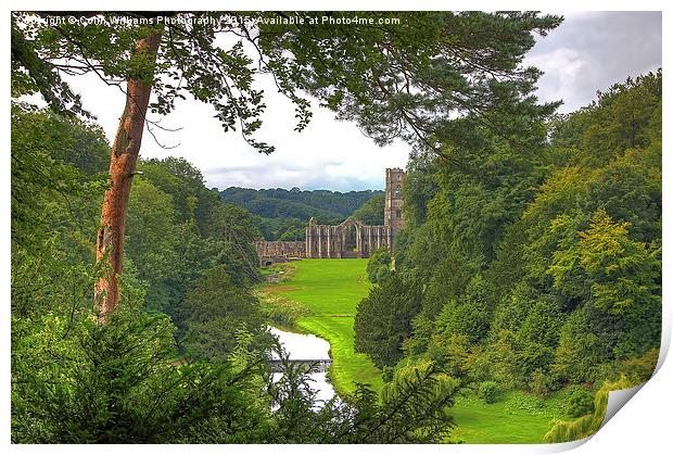  Fountains Abbey Yorkshire 1 Print by Colin Williams Photography