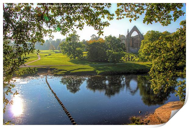  Bolton Abbey 2 Print by Colin Williams Photography