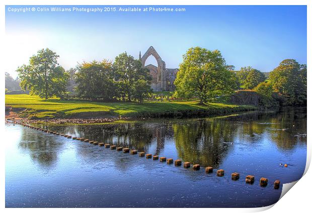   Bolton Abbey 3 Print by Colin Williams Photography