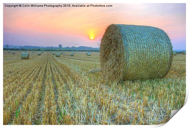   Bales at Sunset 2 Print by Colin Williams Photography