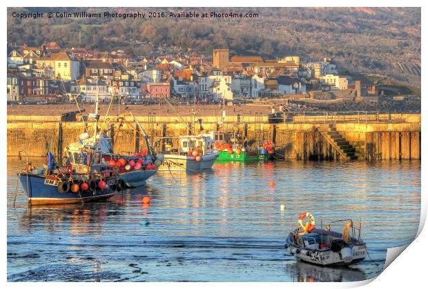Lyme Regis Harbour  Print by Colin Williams Photography