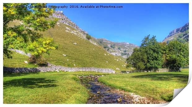 Below Gordale Scar Panorama Print by Colin Williams Photography