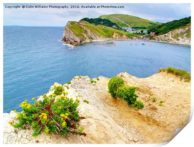 Lulworth Cove Dorset Print by Colin Williams Photography