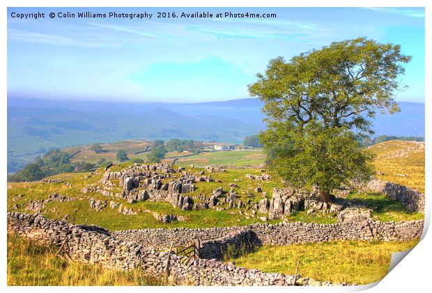 The Road to Malham Print by Colin Williams Photography