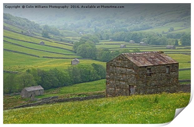 The Barns of Swaledale Yorkshire. Print by Colin Williams Photography