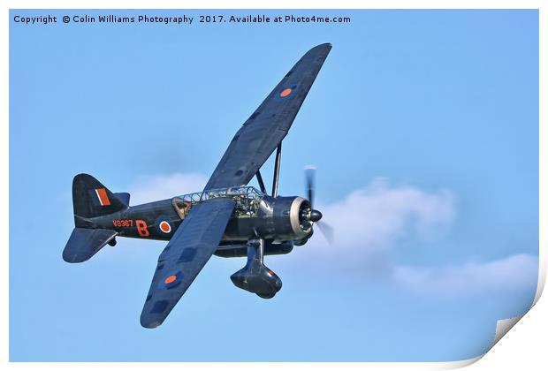 1938 WESTLAND LYSANDER - 1 Print by Colin Williams Photography