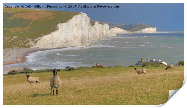  Sheep and the Seven Sisters 2 Print by Colin Williams Photography