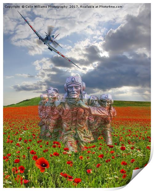 We Salute The Few Print by Colin Williams Photography