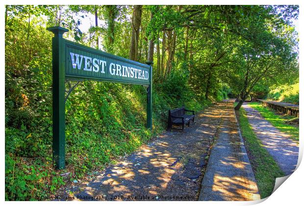 West Grinstead Railway Station 2 Print by Colin Williams Photography