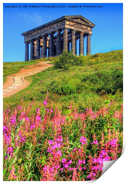 Penshaw Monument  2 Print by Colin Williams Photography