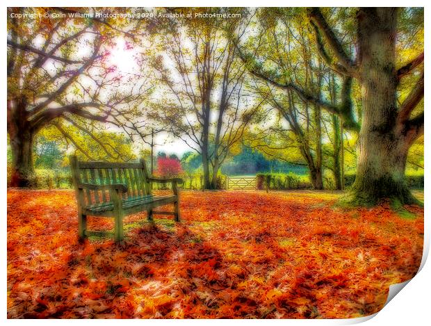 A Bench in The Surrey Hills. Print by Colin Williams Photography