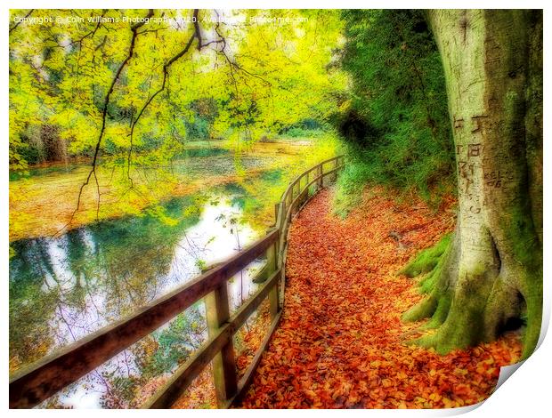 The Silent Pool with A carpet of autumn leaves Print by Colin Williams Photography