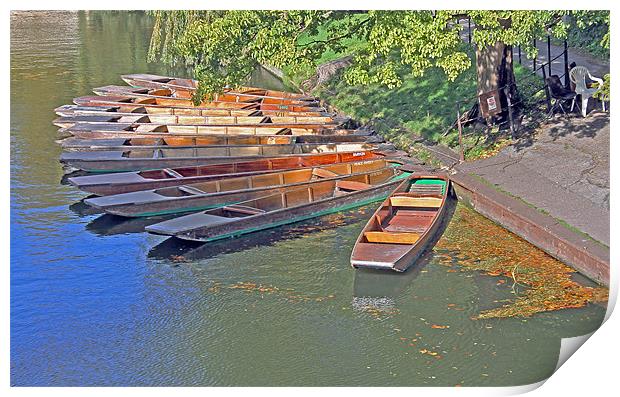 Punts in Cambridge Print by Tony Murtagh