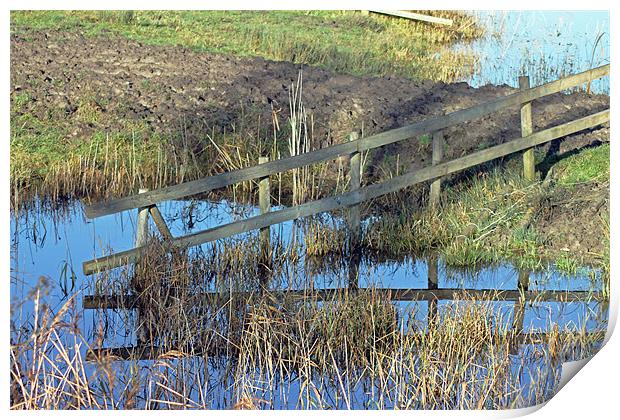 Reflections of Fence Print by Tony Murtagh