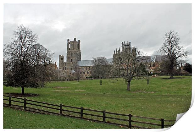 Ely Cathedral Print by Tony Murtagh