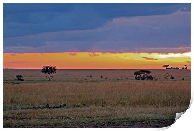 Serengeti Sunrise Print by Tony Murtagh