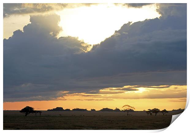 Early Morning on the Serengeti Print by Tony Murtagh