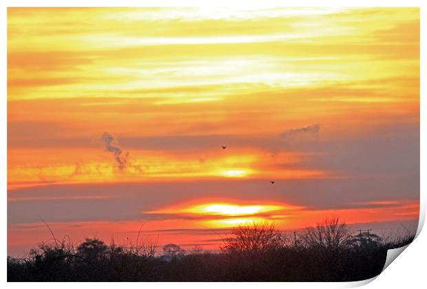 Birds against setting sun Print by Tony Murtagh