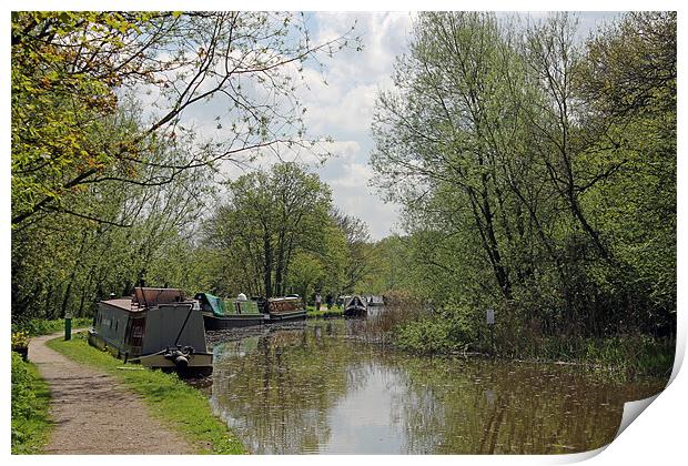 Narrowboats moored on Oxford Canal Print by Tony Murtagh