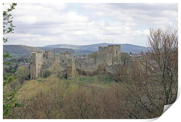 Ludlow Castle Print by Tony Murtagh