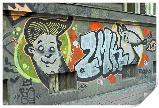 Graffiti in Belgrade Print by Tony Murtagh