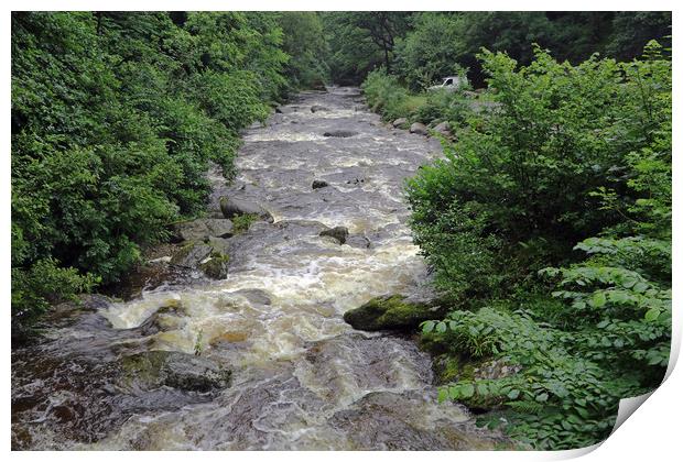 East Lyn River Print by Tony Murtagh