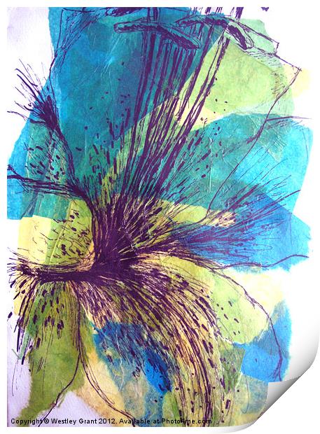Exotic Flower Print by Westley Grant