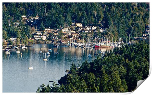 BRENTWOOD BAY vancouver island BC canada Print by Andy Smy