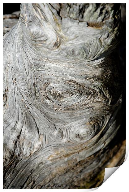 WOODEN FINGERPRINT eddies in the grain of an old log like whorls on a finger Print by Andy Smy