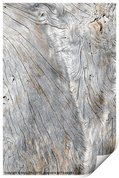 SOFT VALLEY weathered wood made smooth by the elements Print by Andy Smy
