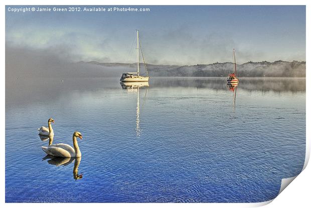 Swanning About On Windermere Print by Jamie Green