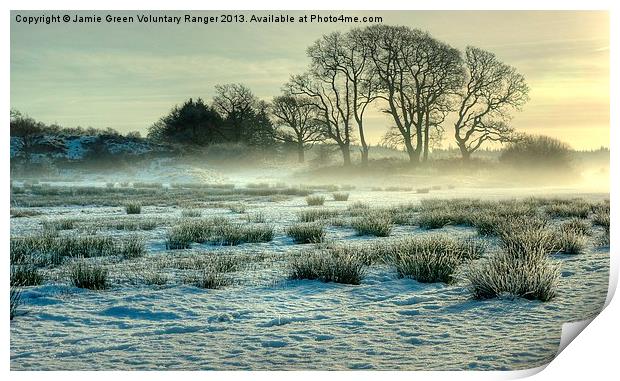 The Frozen Meadow Print by Jamie Green