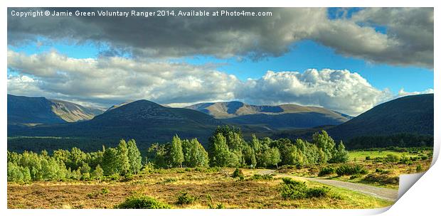 Summer In The Cairngorms Print by Jamie Green