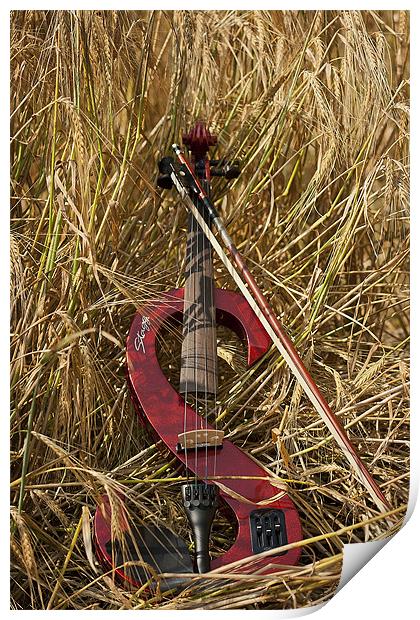 Growing Music Print by Castleton Photographic