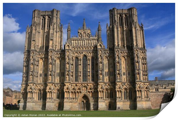 Wells Cathedral, Somerset  Print by Aidan Moran