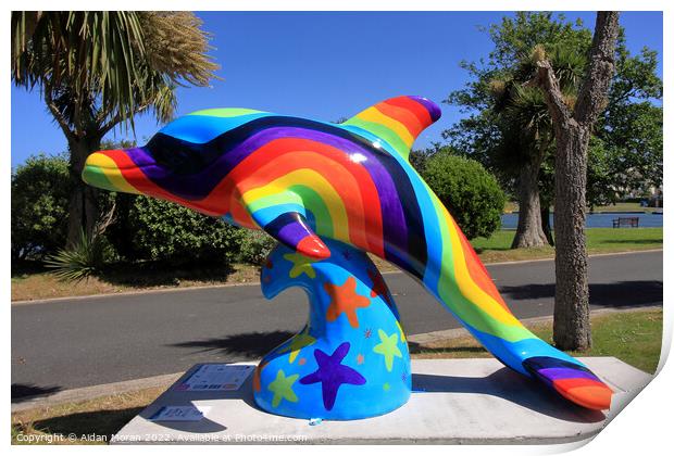 Rainbow Dolphin  Print by Aidan Moran