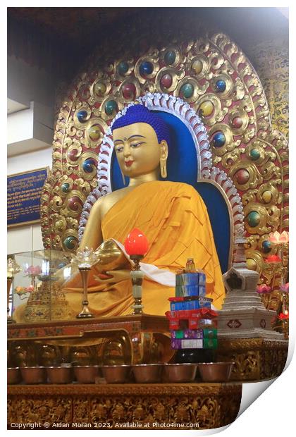 The Serene Buddha of Namgyal Monastery Print by Aidan Moran