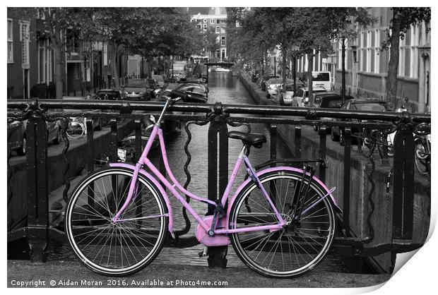 Pink Bicycle By The Canal  Print by Aidan Moran