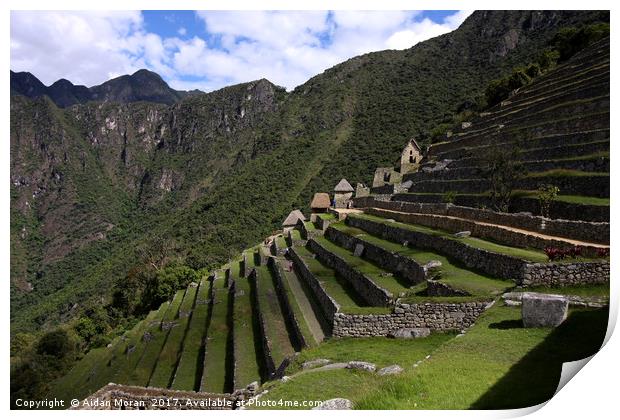 Machu Picchu Terraced Sector  Print by Aidan Moran