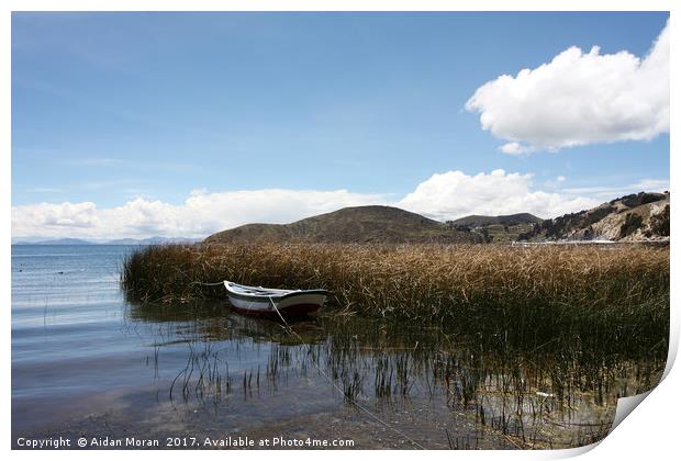 Lake Titicaca, Bolivia  Print by Aidan Moran
