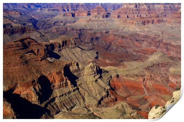 The Grand Canyon, State Of Arizona  Print by Aidan Moran