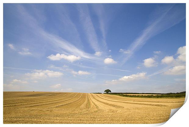 After the Harvest Print by Colin Tracy