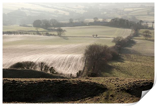 West from Eggardon Hill Print by Colin Tracy