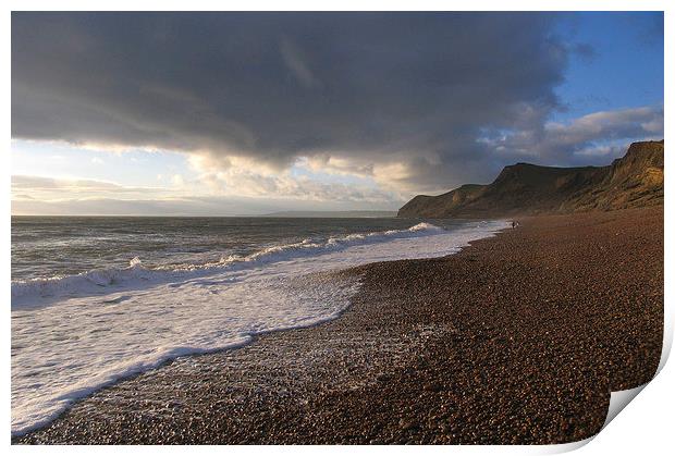 Eype Beach Dorset, UK Print by Colin Tracy