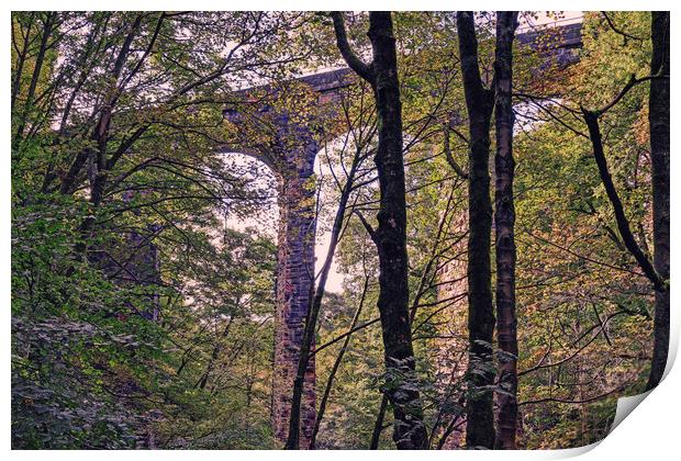 The concealed viaduct Print by David McCulloch