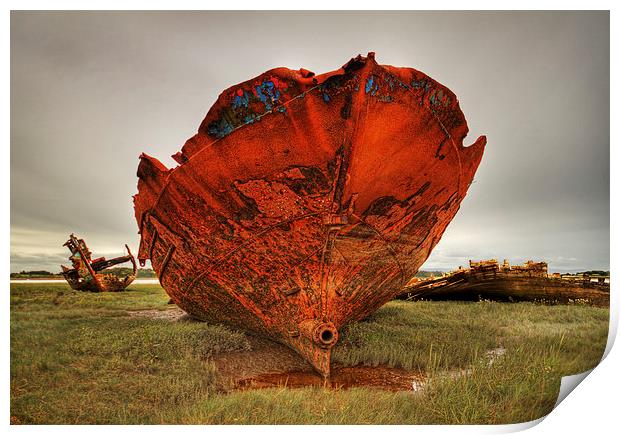  Rusting Wreck Print by David McCulloch