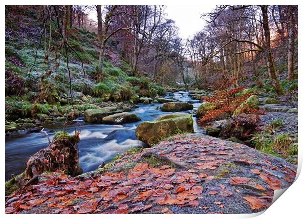 Frosted Autumn Leaves Print by David McCulloch